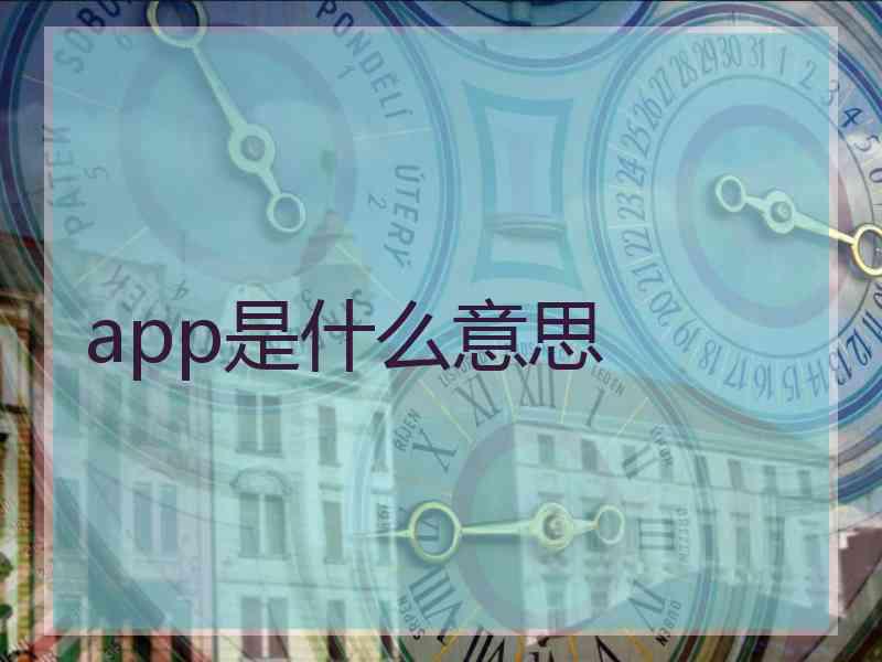 app是什么意思