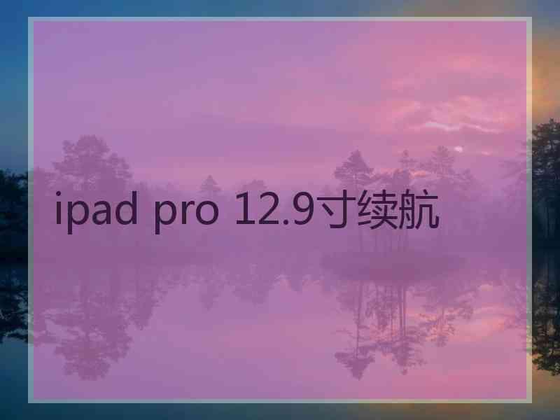 ipad pro 12.9寸续航