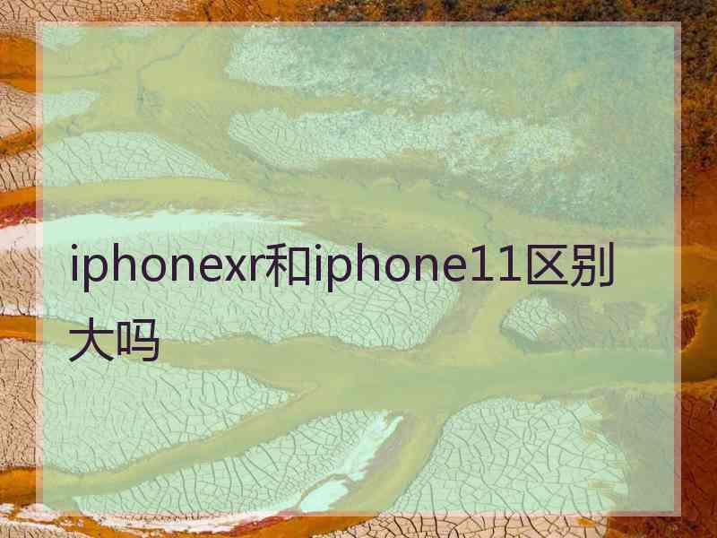 iphonexr和iphone11区别大吗