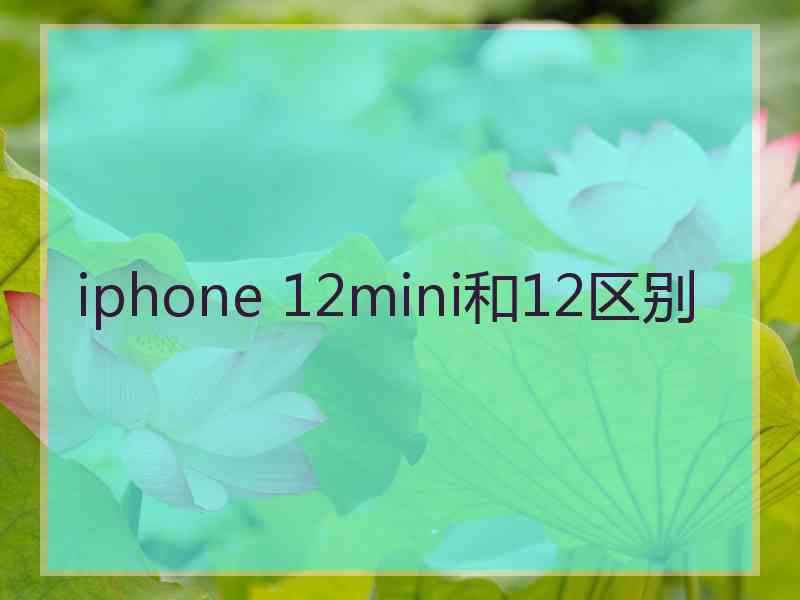 iphone 12mini和12区别