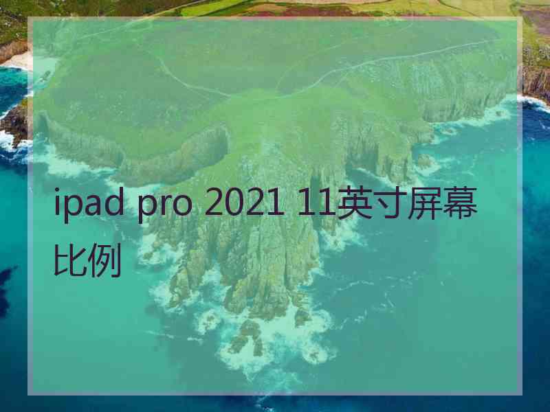 ipad pro 2021 11英寸屏幕比例