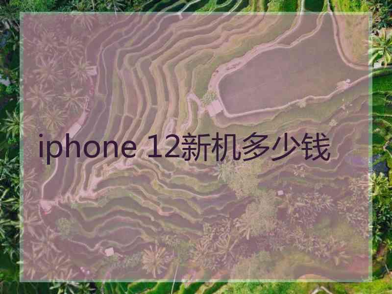 iphone 12新机多少钱