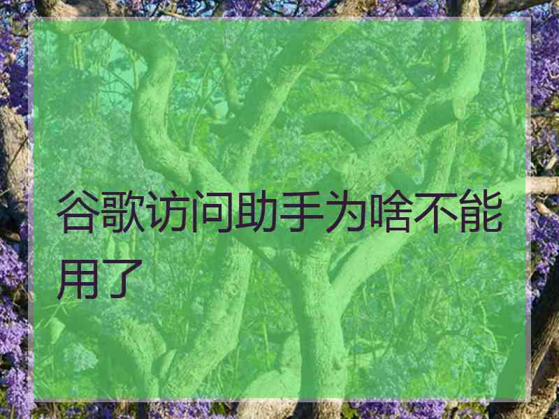 谷歌访问助手为啥不能用了