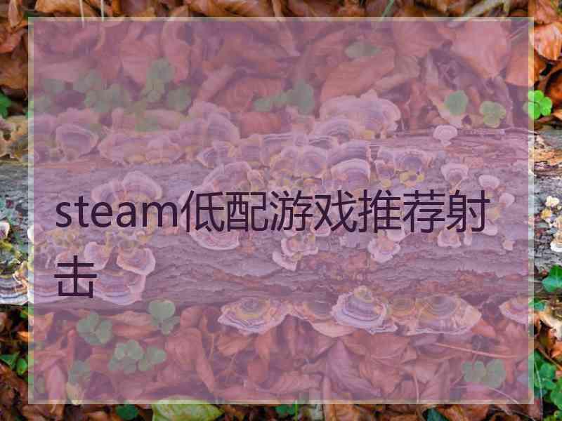 steam低配游戏推荐射击