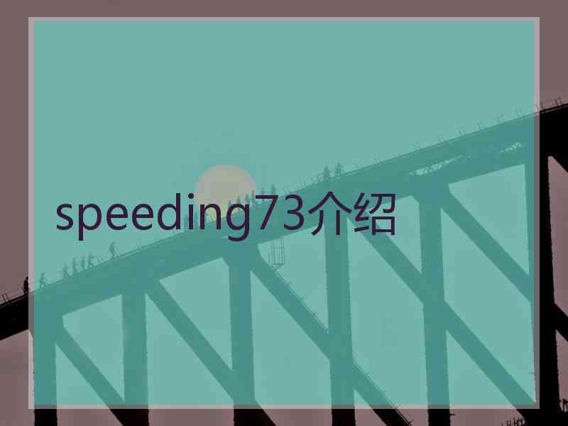 speeding73介绍