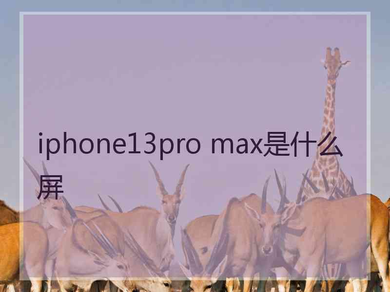 iphone13pro max是什么屏