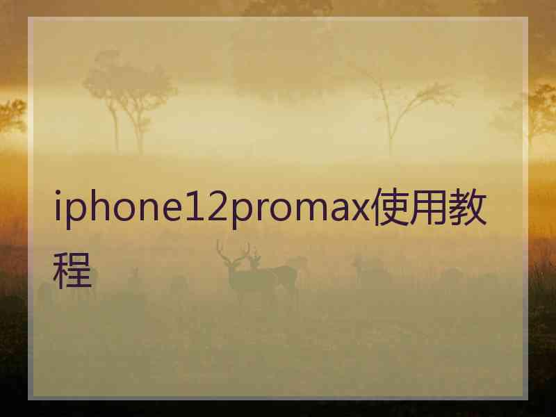 iphone12promax使用教程