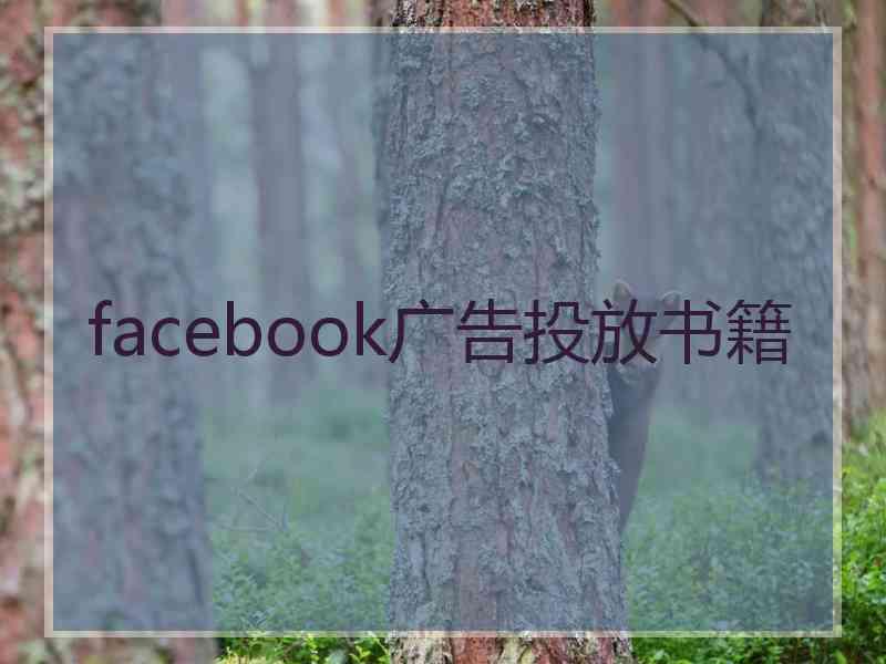 facebook广告投放书籍