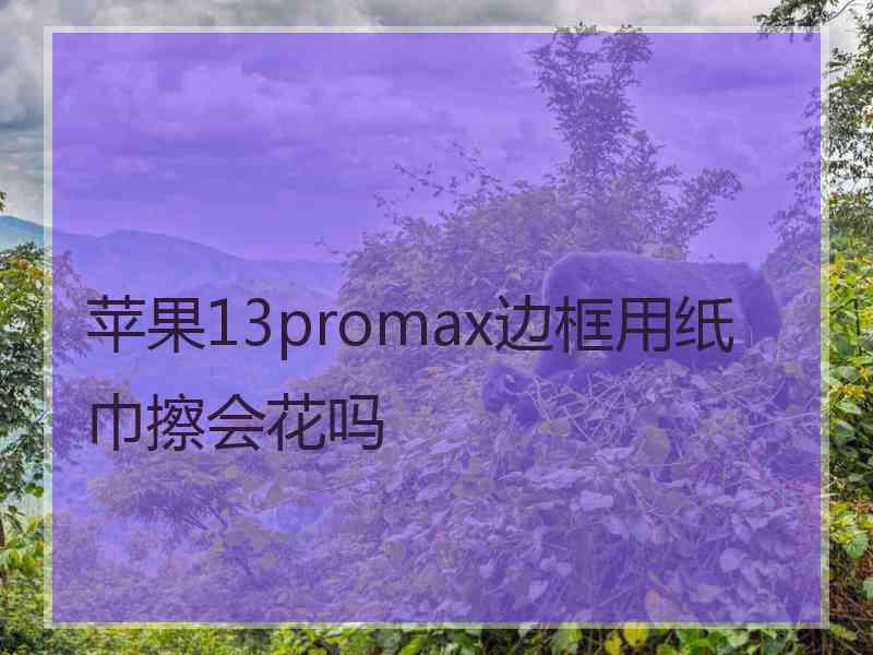 苹果13promax边框用纸巾擦会花吗