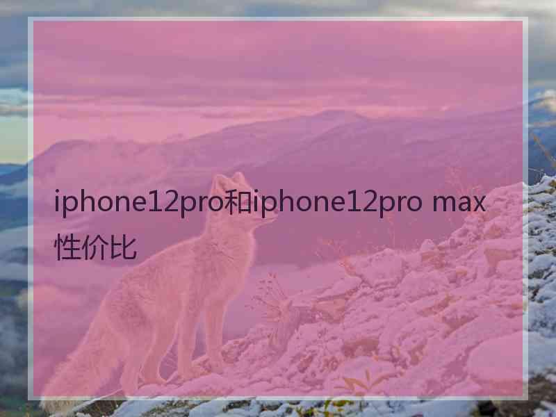 iphone12pro和iphone12pro max性价比