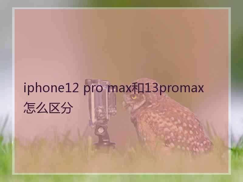 iphone12 pro max和13promax怎么区分