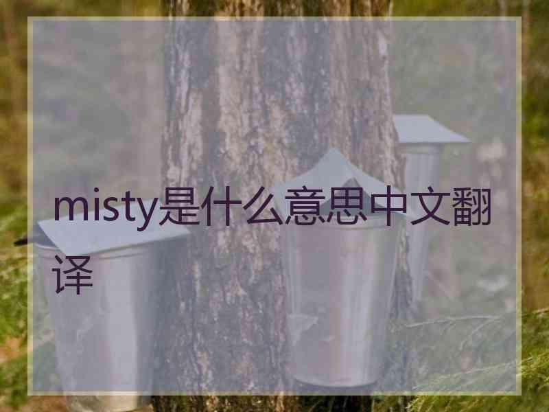 misty是什么意思中文翻译