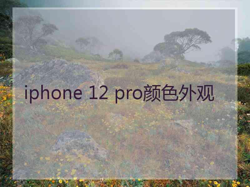 iphone 12 pro颜色外观