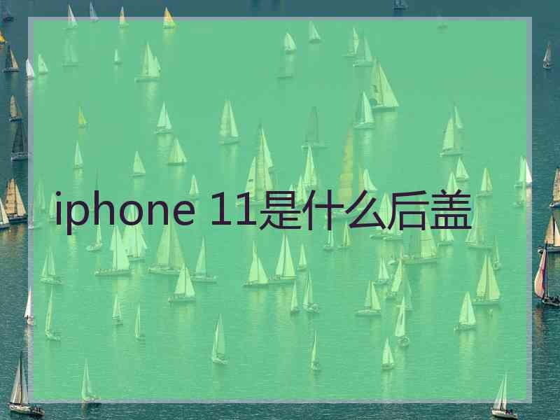 iphone 11是什么后盖