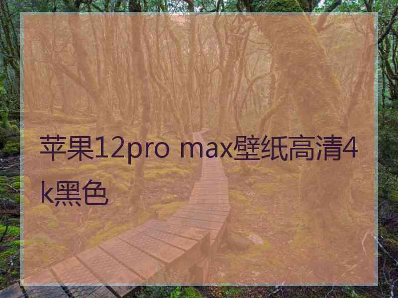 苹果12pro max壁纸高清4k黑色