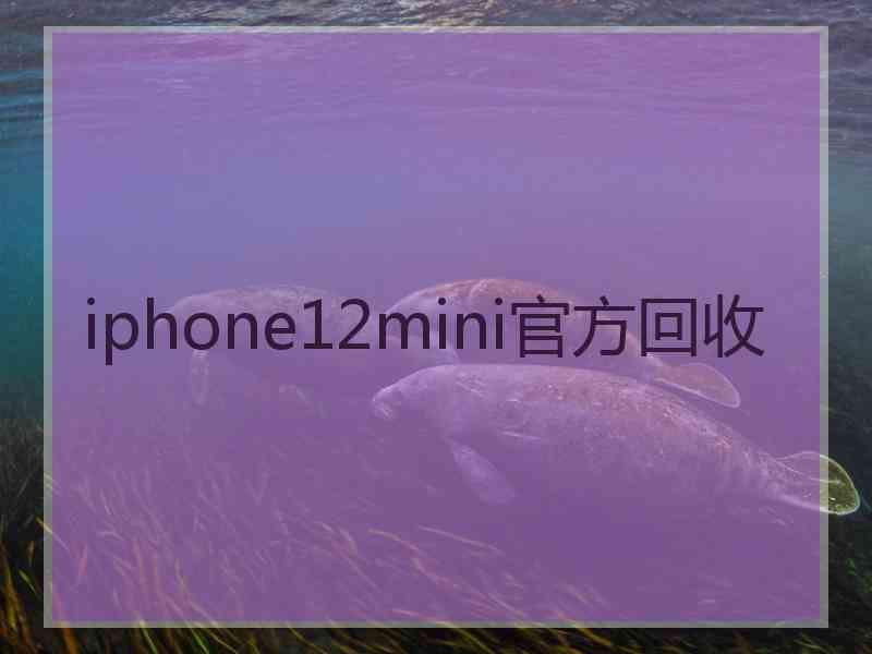 iphone12mini官方回收