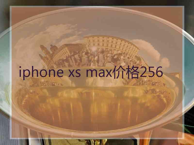 iphone xs max价格256