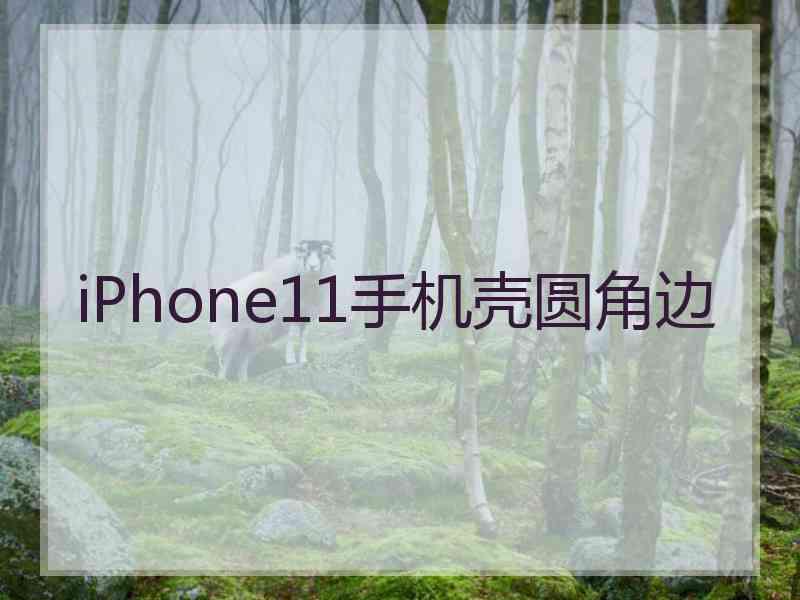 iPhone11手机壳圆角边