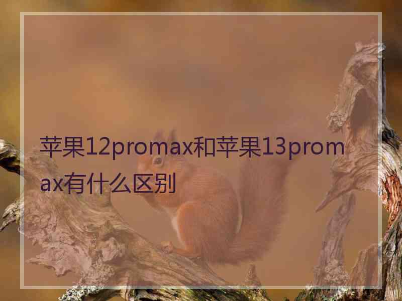 苹果12promax和苹果13promax有什么区别