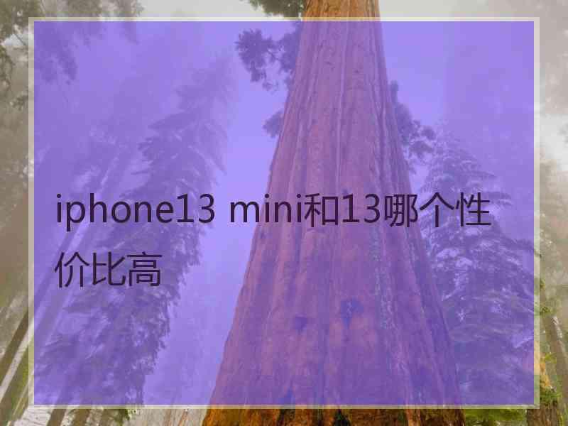 iphone13 mini和13哪个性价比高