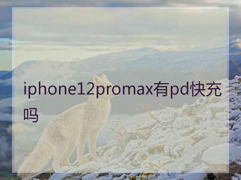 iphone12promax有pd快充吗