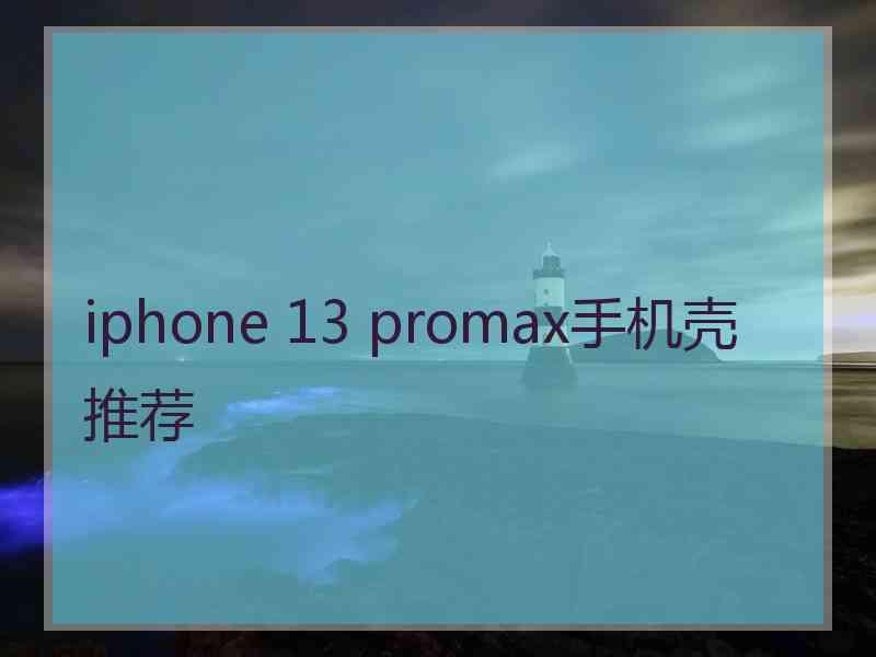 iphone 13 promax手机壳 推荐