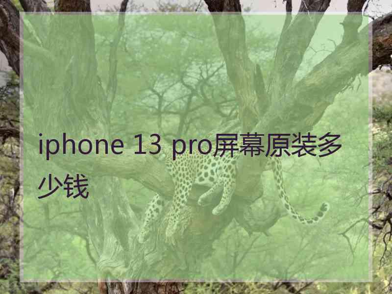 iphone 13 pro屏幕原装多少钱