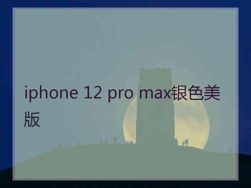 iphone 12 pro max银色美版