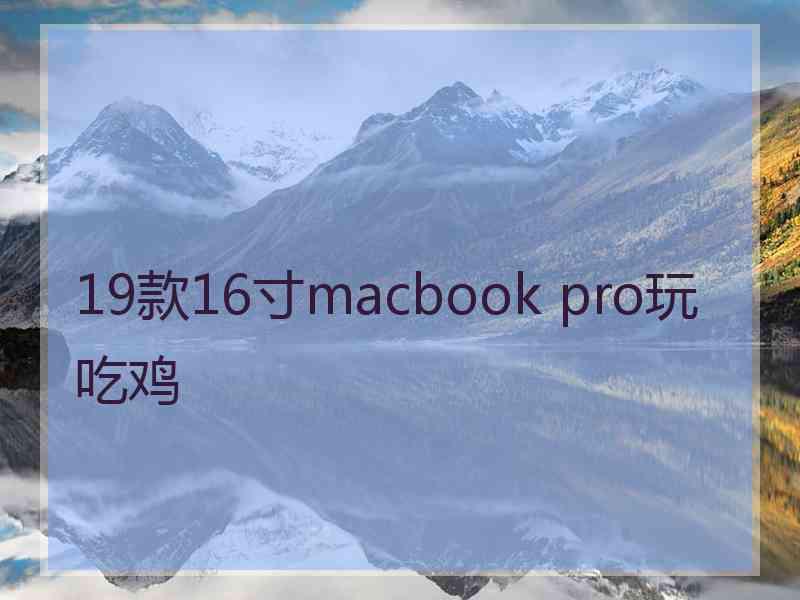 19款16寸macbook pro玩吃鸡