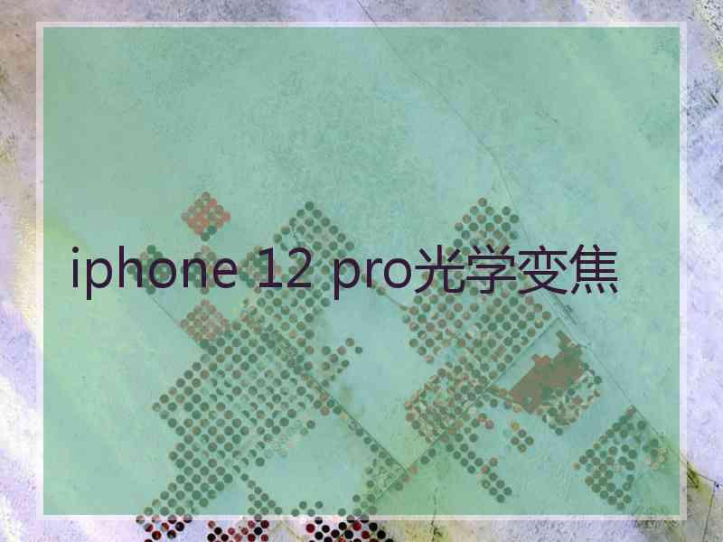 iphone 12 pro光学变焦