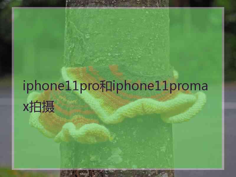 iphone11pro和iphone11promax拍摄