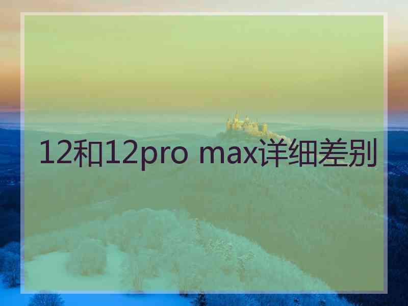 12和12pro max详细差别