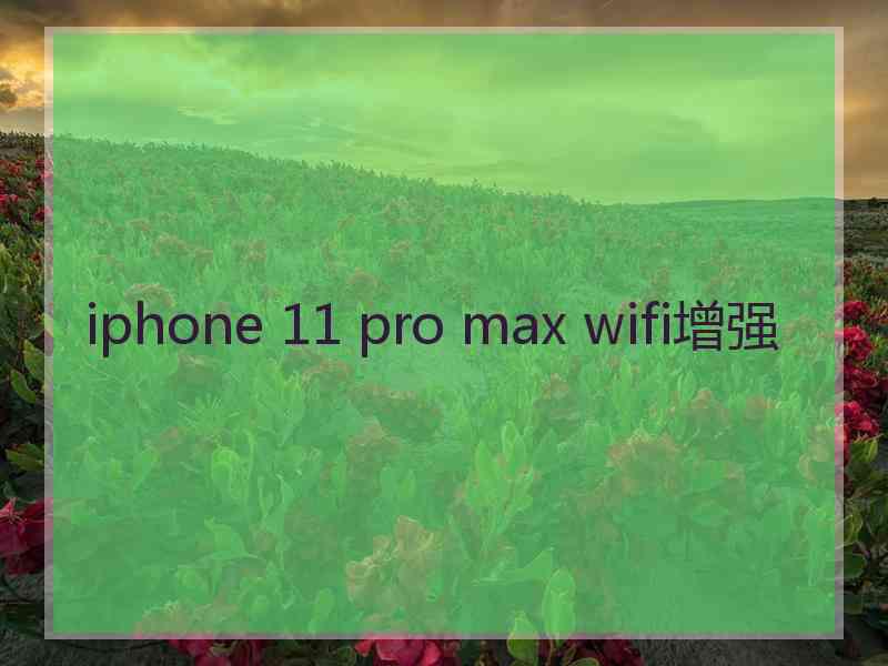 iphone 11 pro max wifi增强