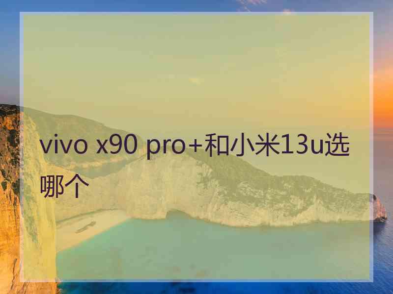 vivo x90 pro+和小米13u选哪个