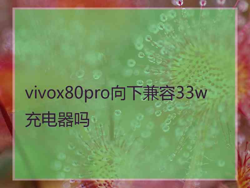 vivox80pro向下兼容33w充电器吗