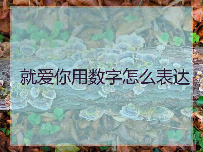 就爱你用数字怎么表达