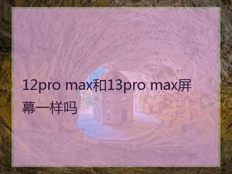 12pro max和13pro max屏幕一样吗