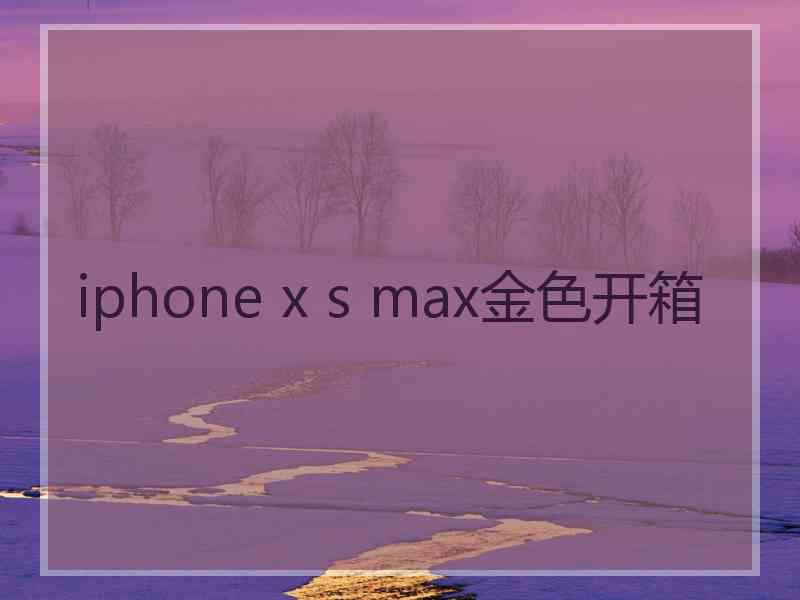 iphone x s max金色开箱