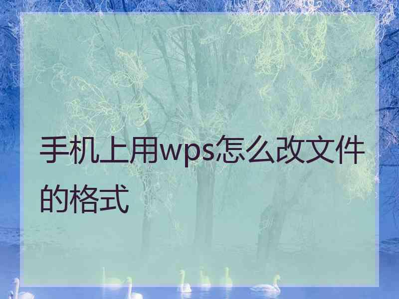 手机上用wps怎么改文件的格式