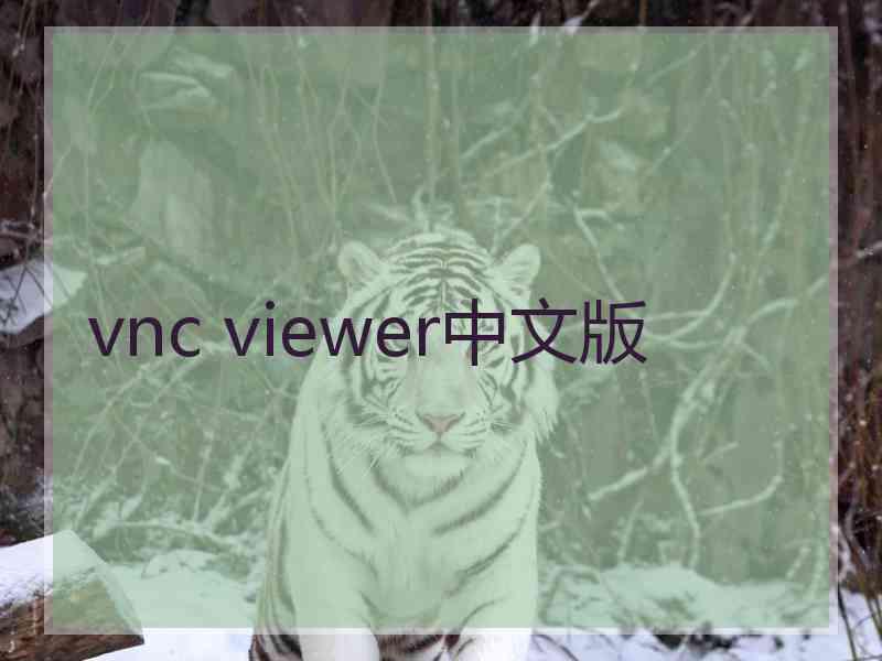 vnc viewer中文版