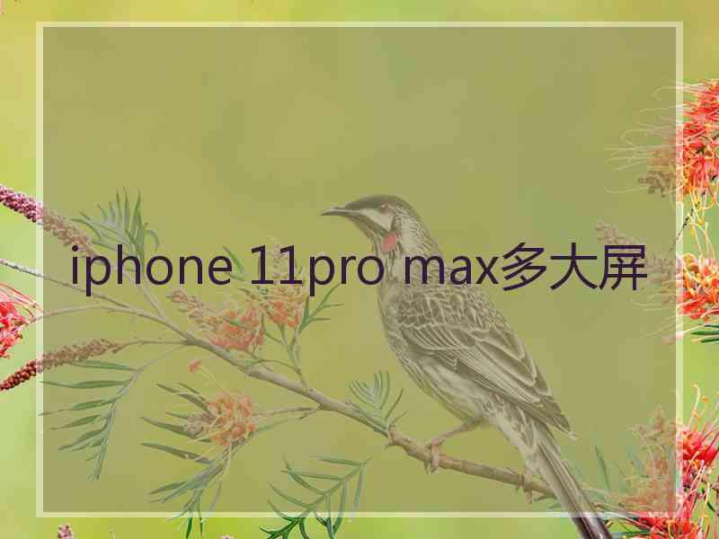 iphone 11pro max多大屏