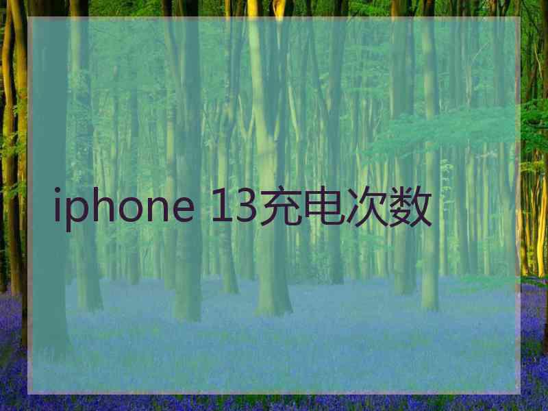 iphone 13充电次数