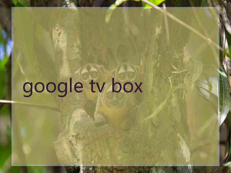 google tv box