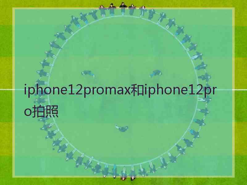 iphone12promax和iphone12pro拍照