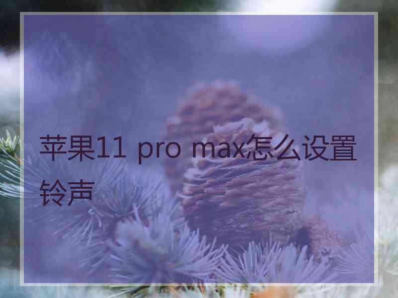 苹果11 pro max怎么设置铃声