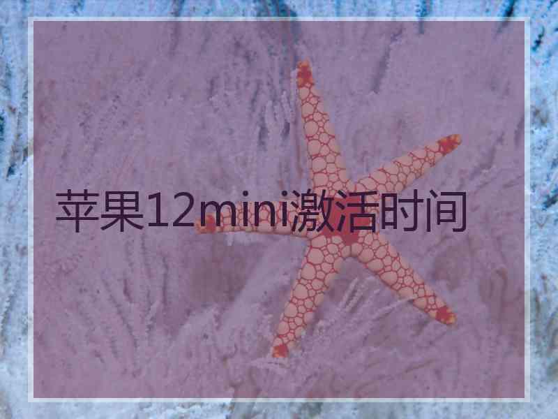 苹果12mini激活时间