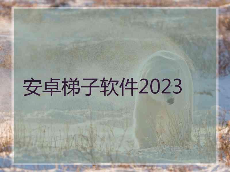 安卓梯子软件2023