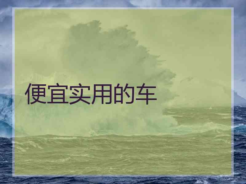 便宜实用的车