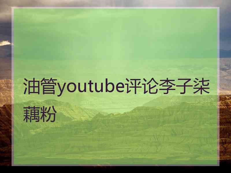 油管youtube评论李子柒藕粉