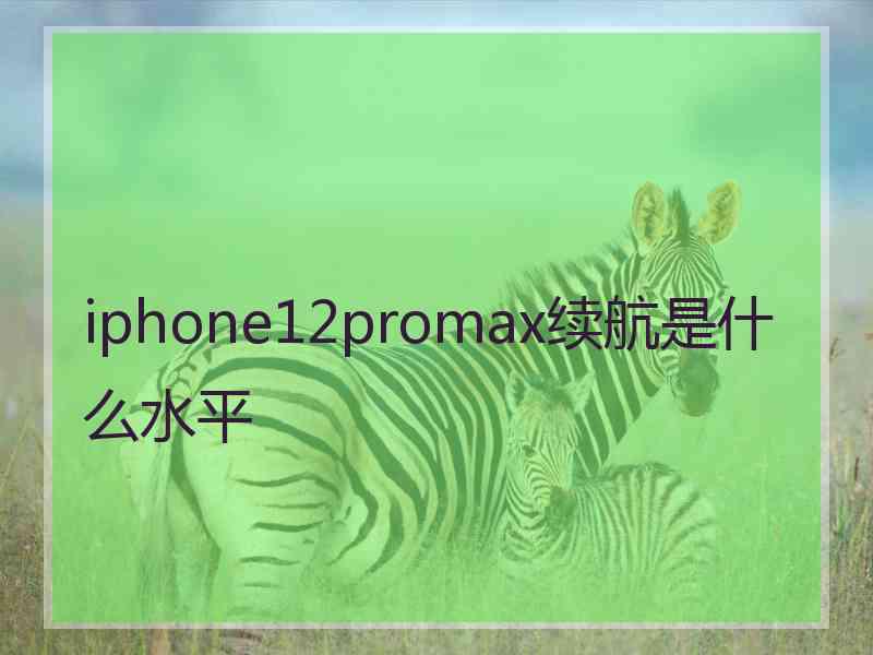 iphone12promax续航是什么水平